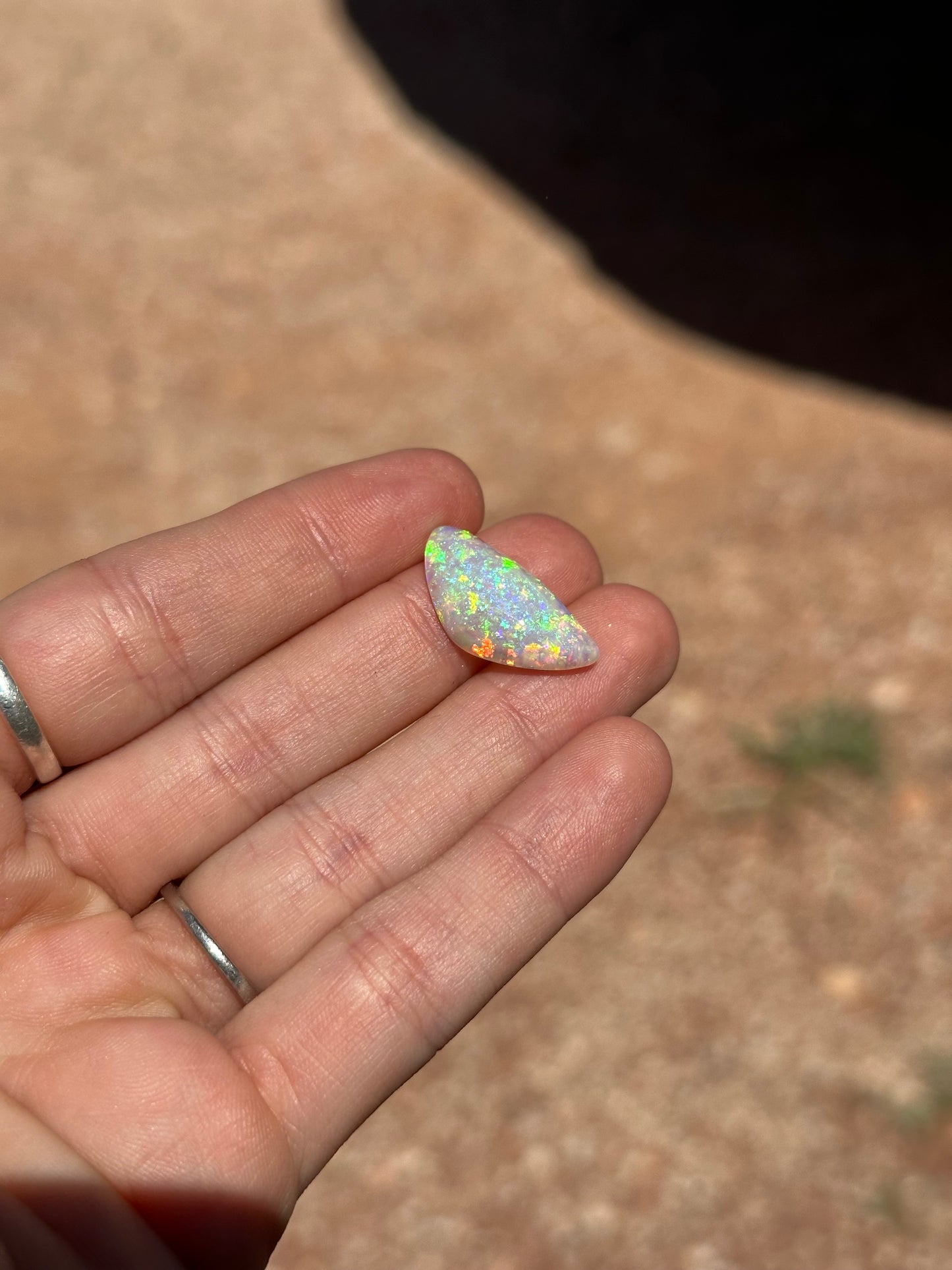 Opal shell | 5.65ct | #33