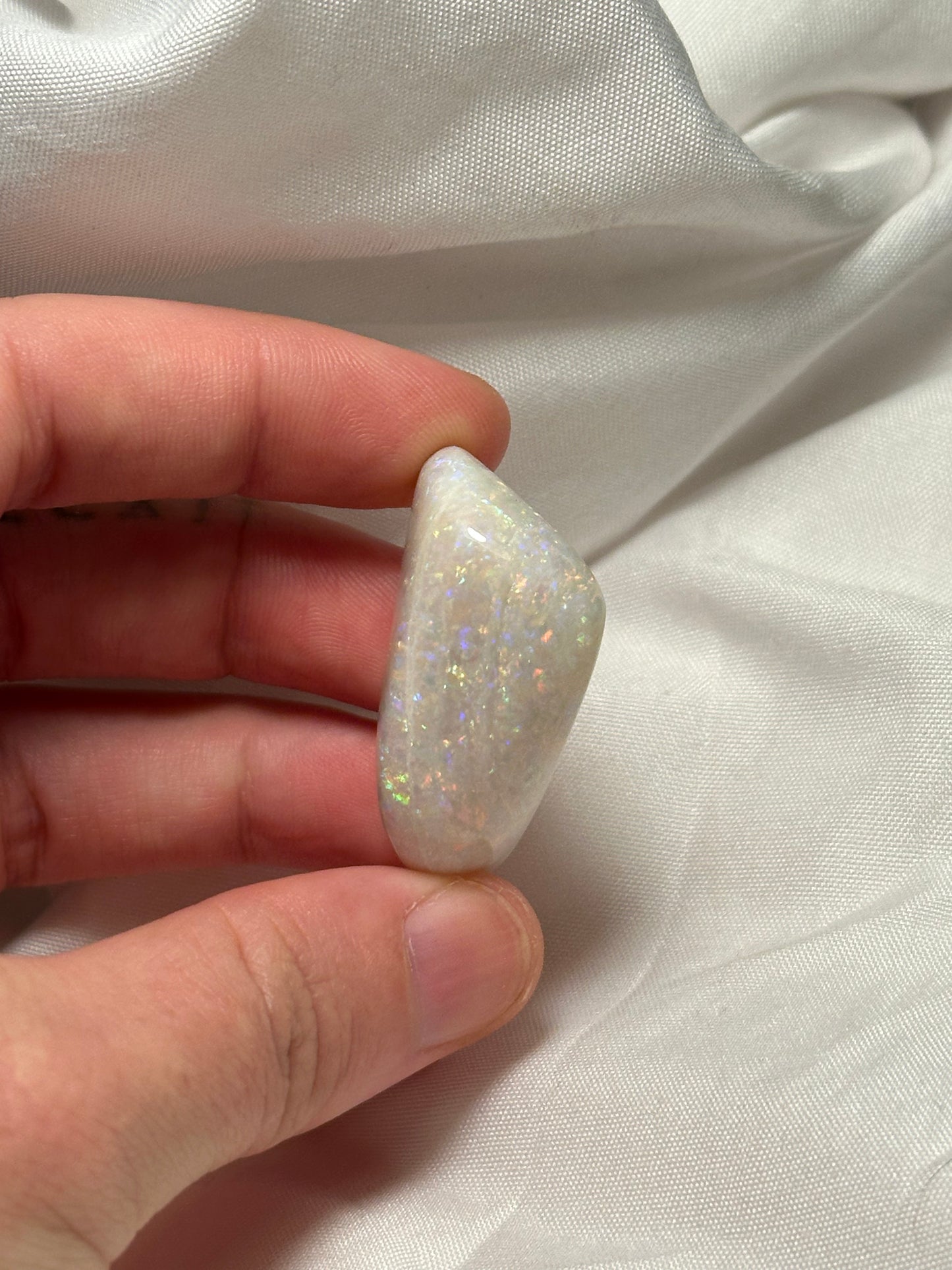 Opalised fossil shell #7