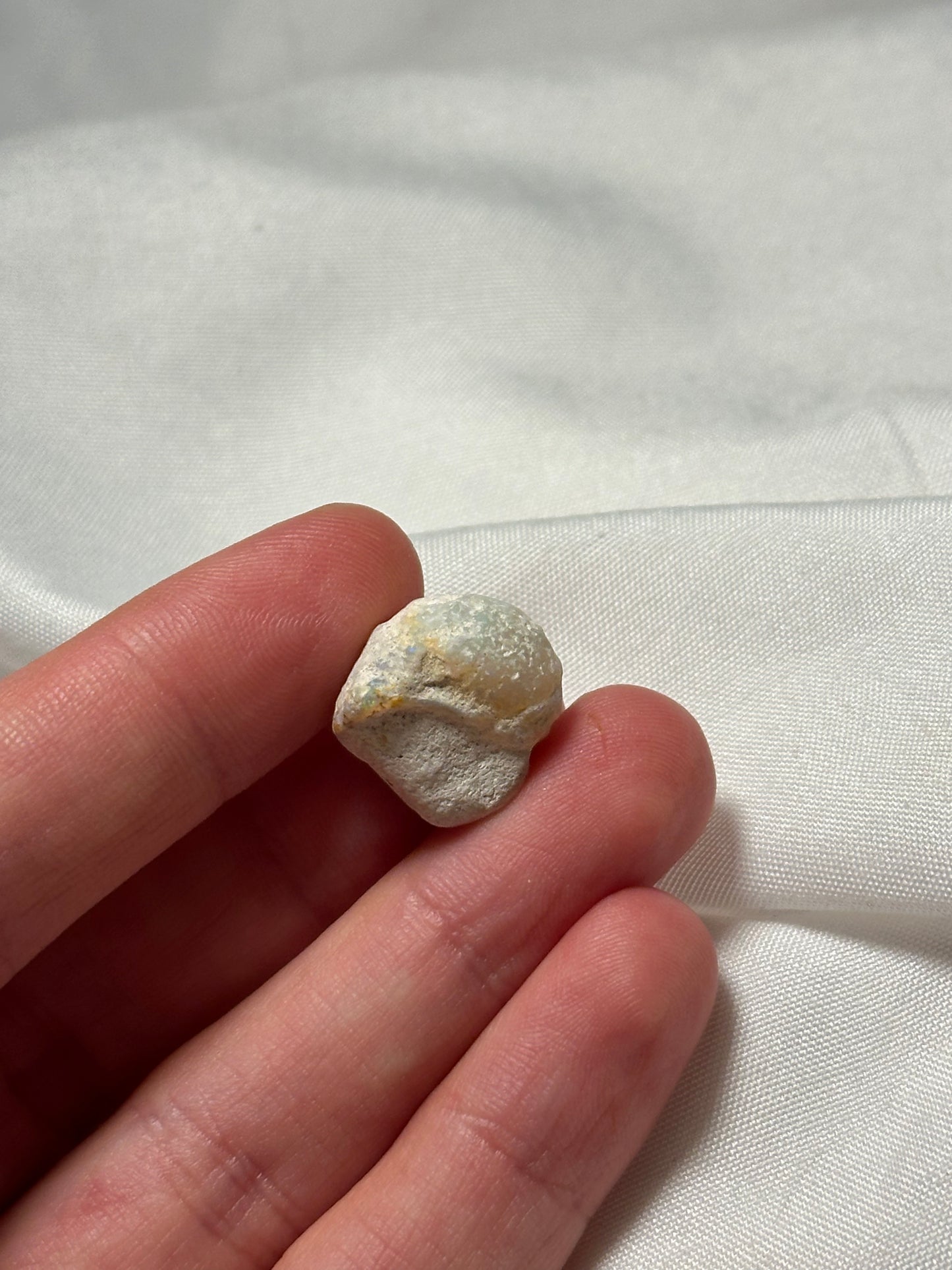 Opalised fossil shell #4