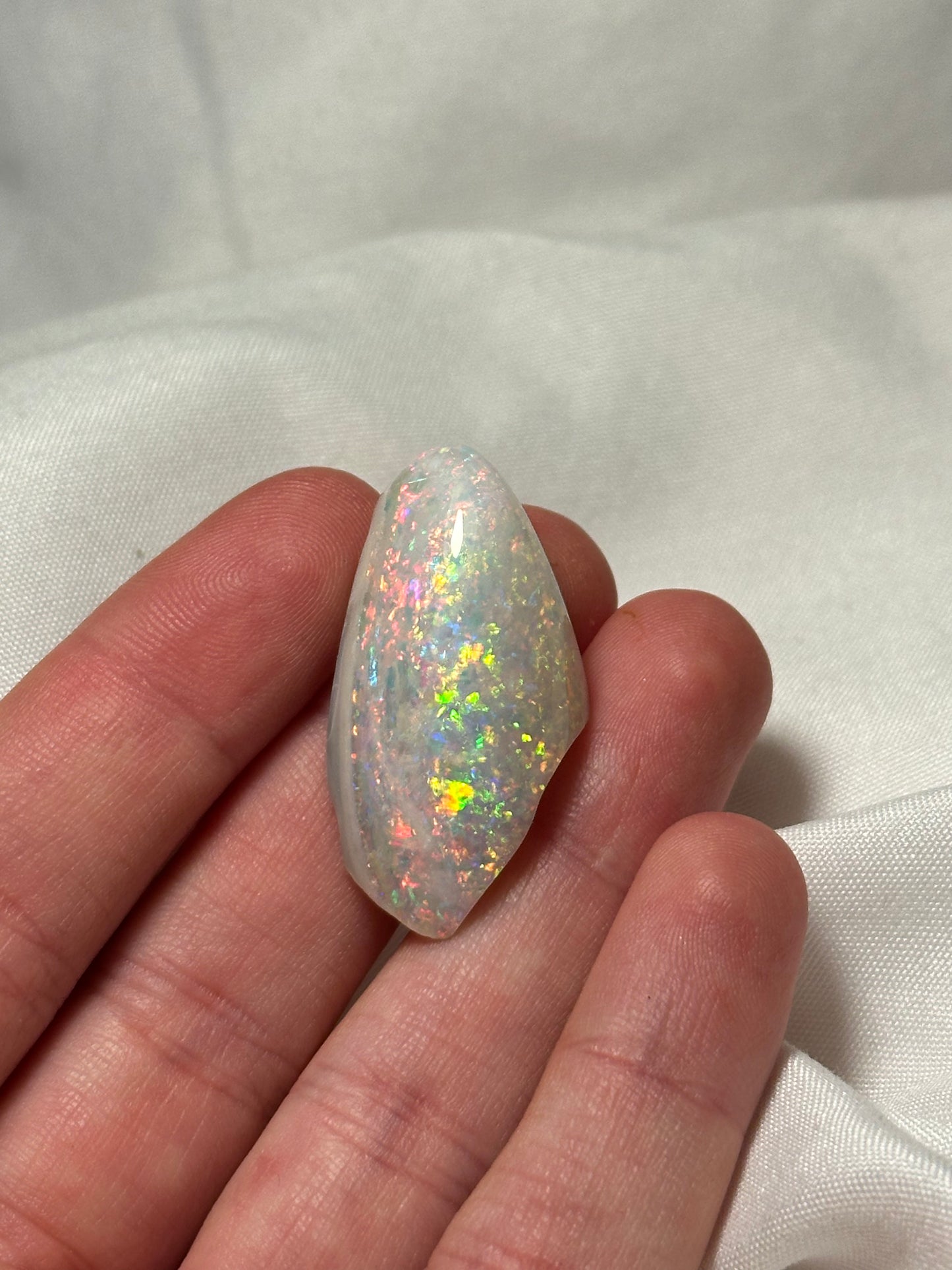Opalised fossil shell #1