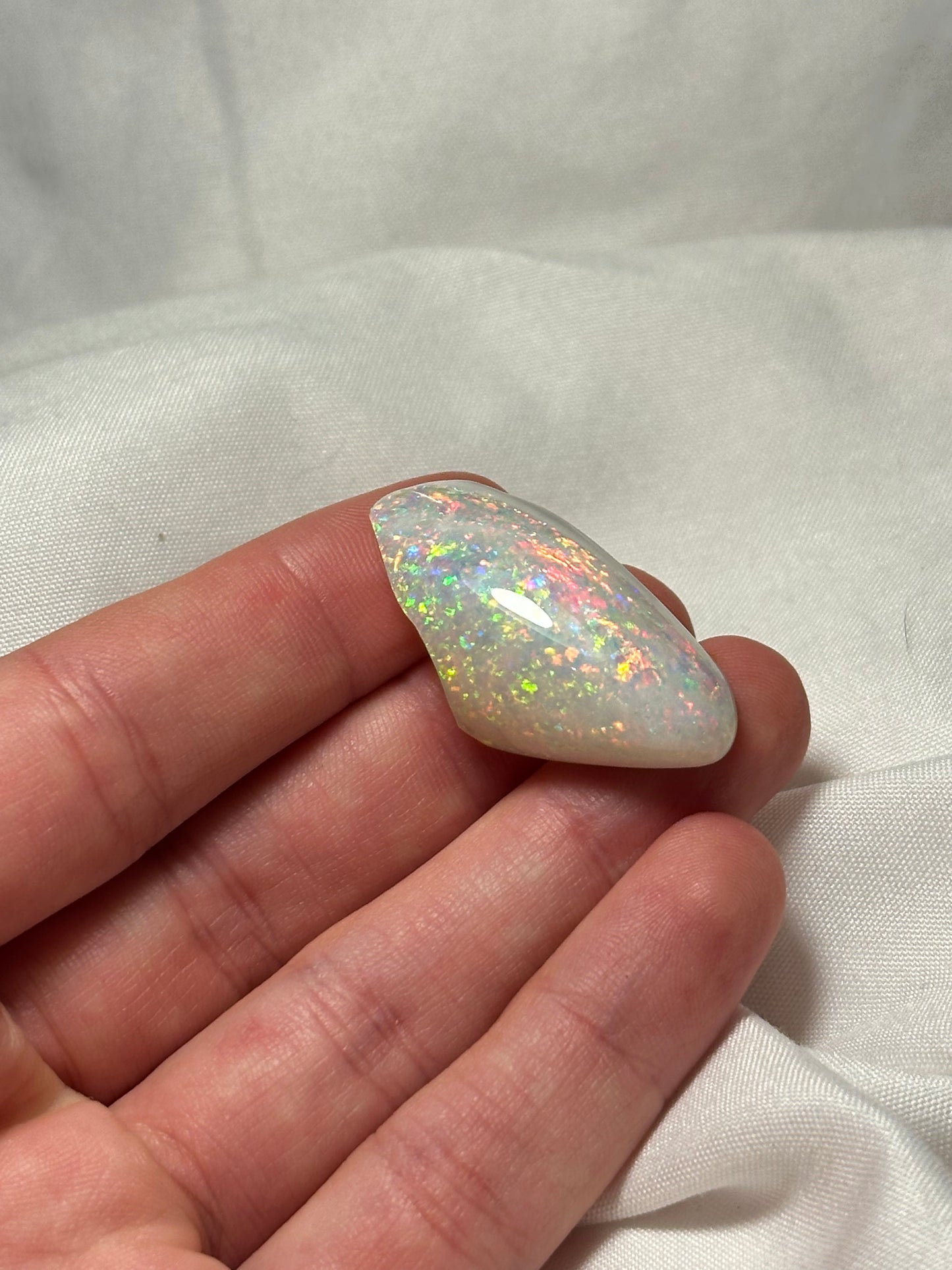 Opalised fossil shell #1