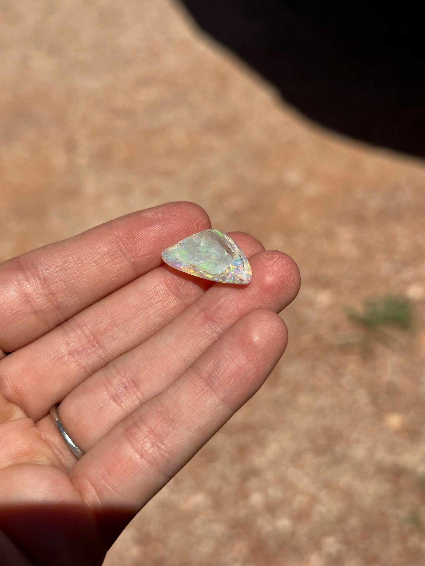 Opal shell | 5.65ct | #33