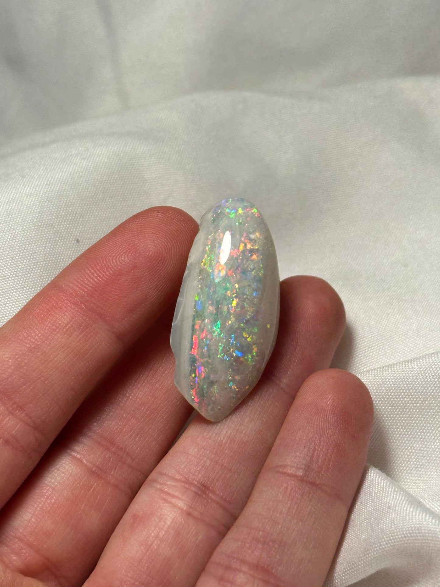 Opalised fossil shell #1