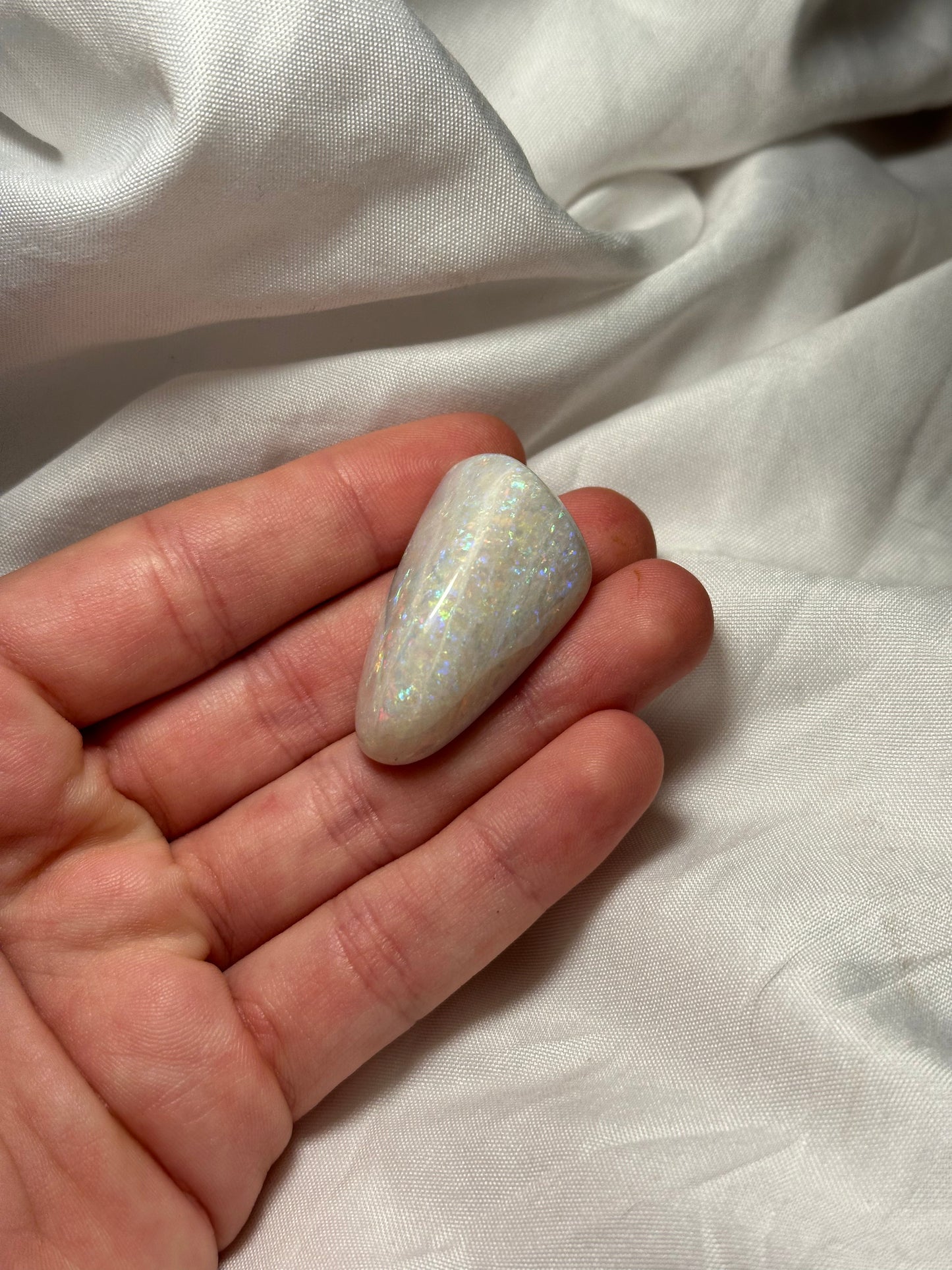 Opalised fossil shell #7