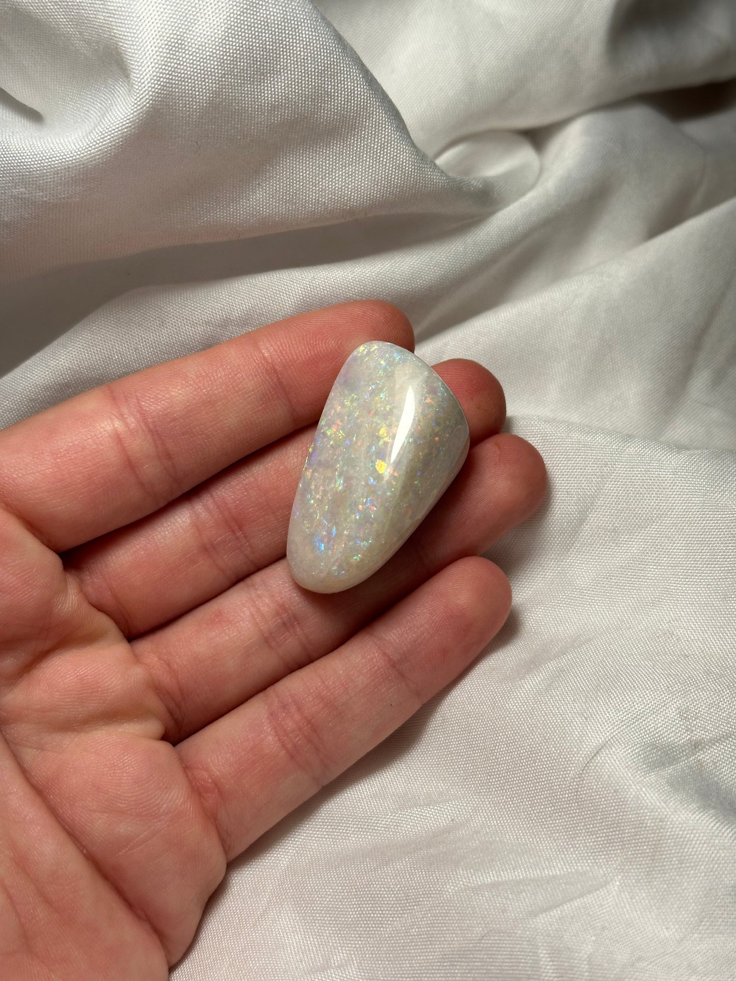 Opalised fossil shell #7