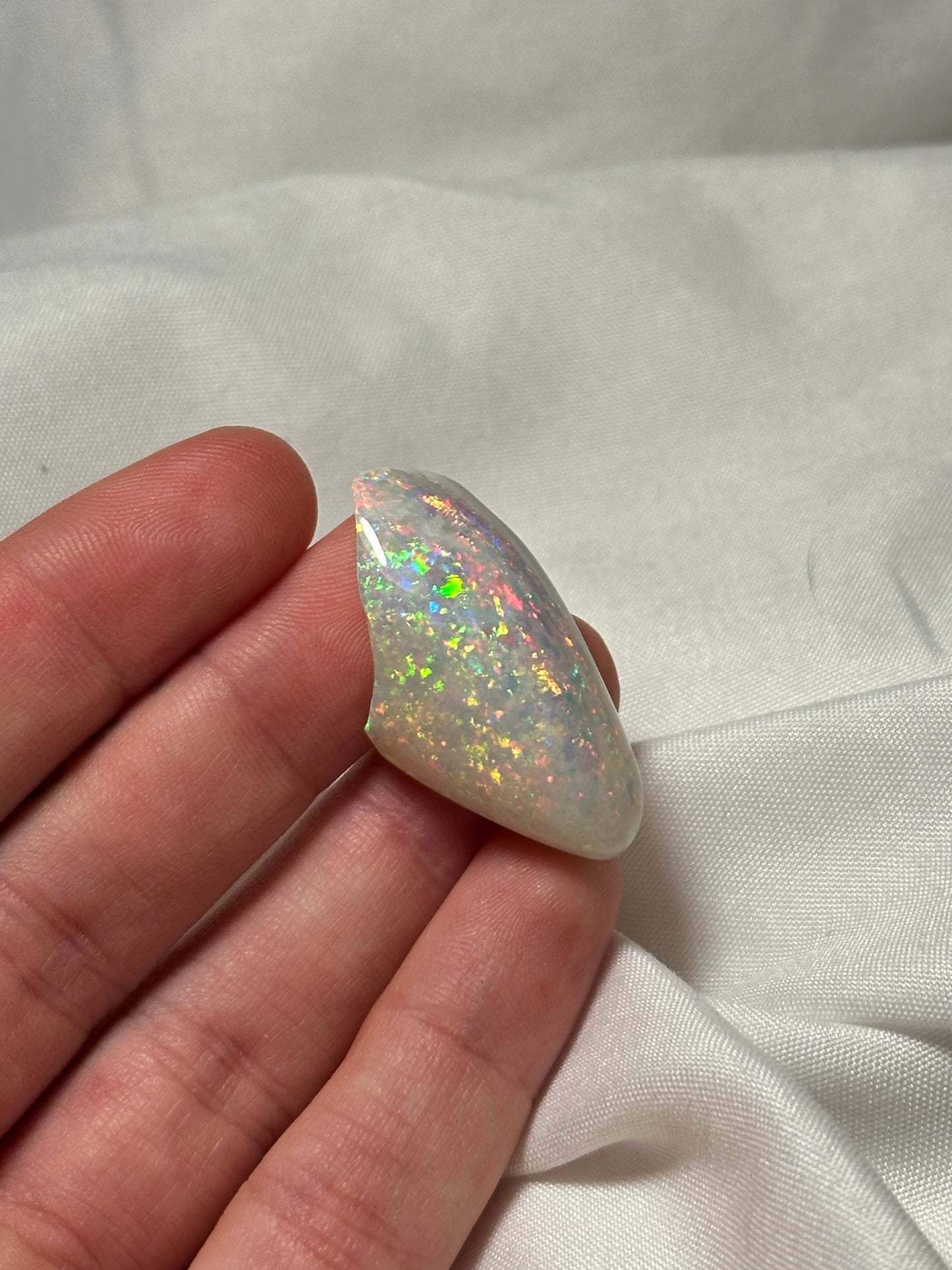 Opalised fossil shell #1