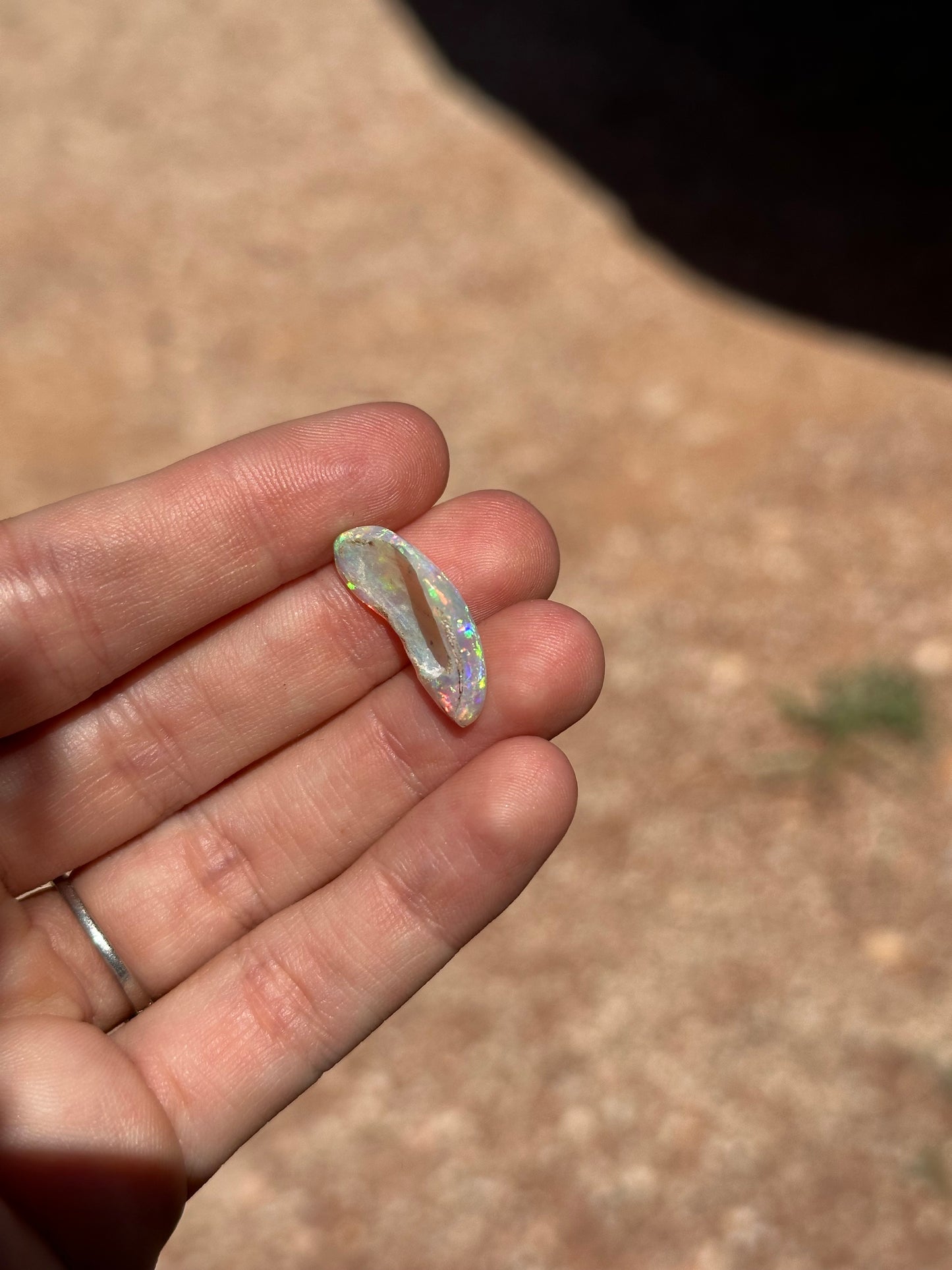 Opal shell | 5.65ct | #33