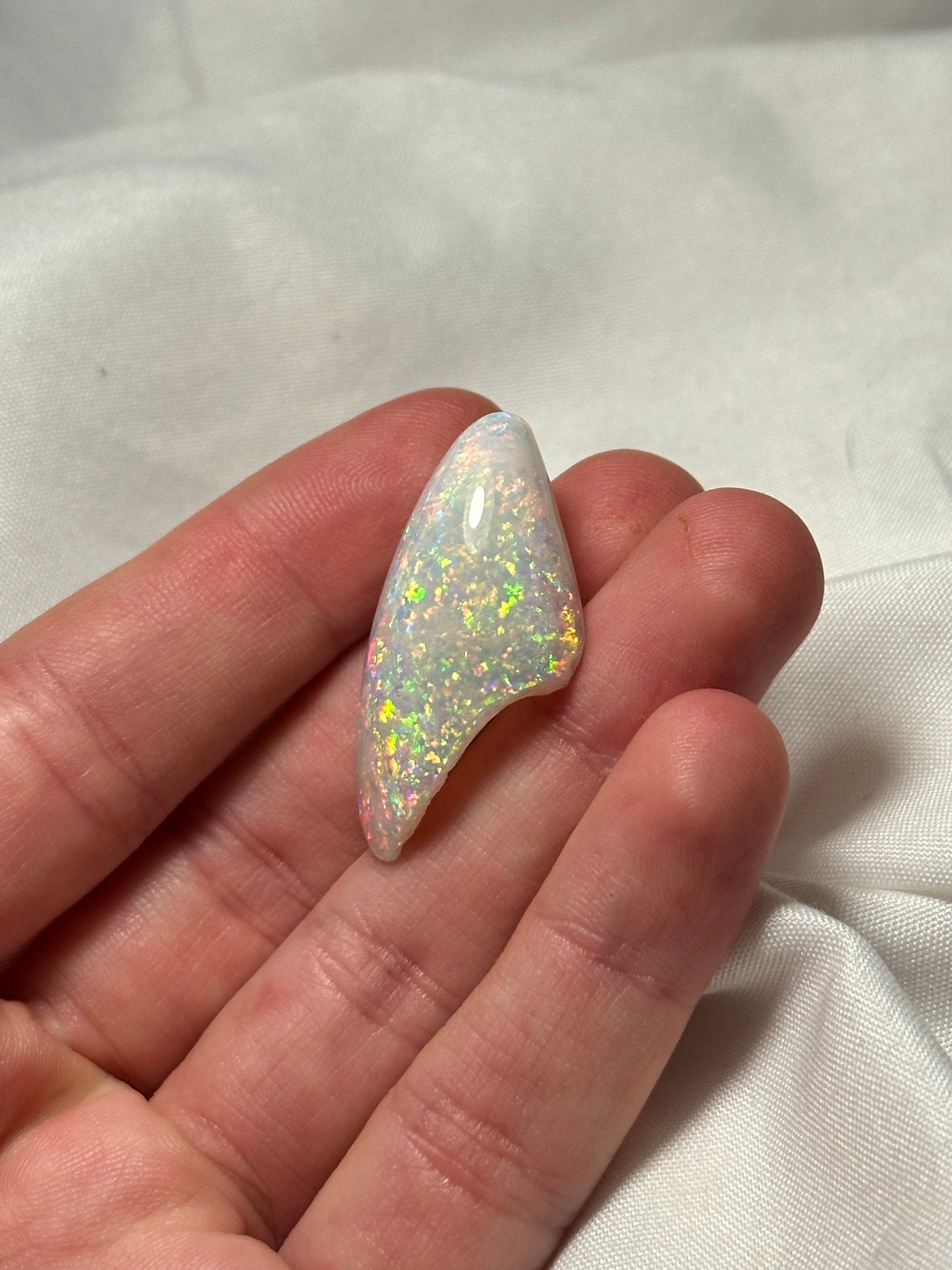 Opalised fossil shell #1