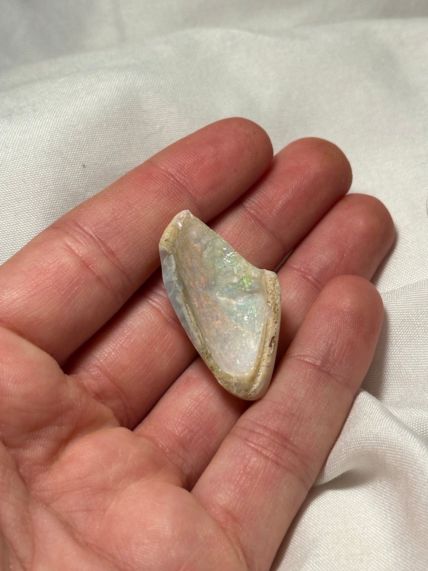 Opalised fossil shell #1