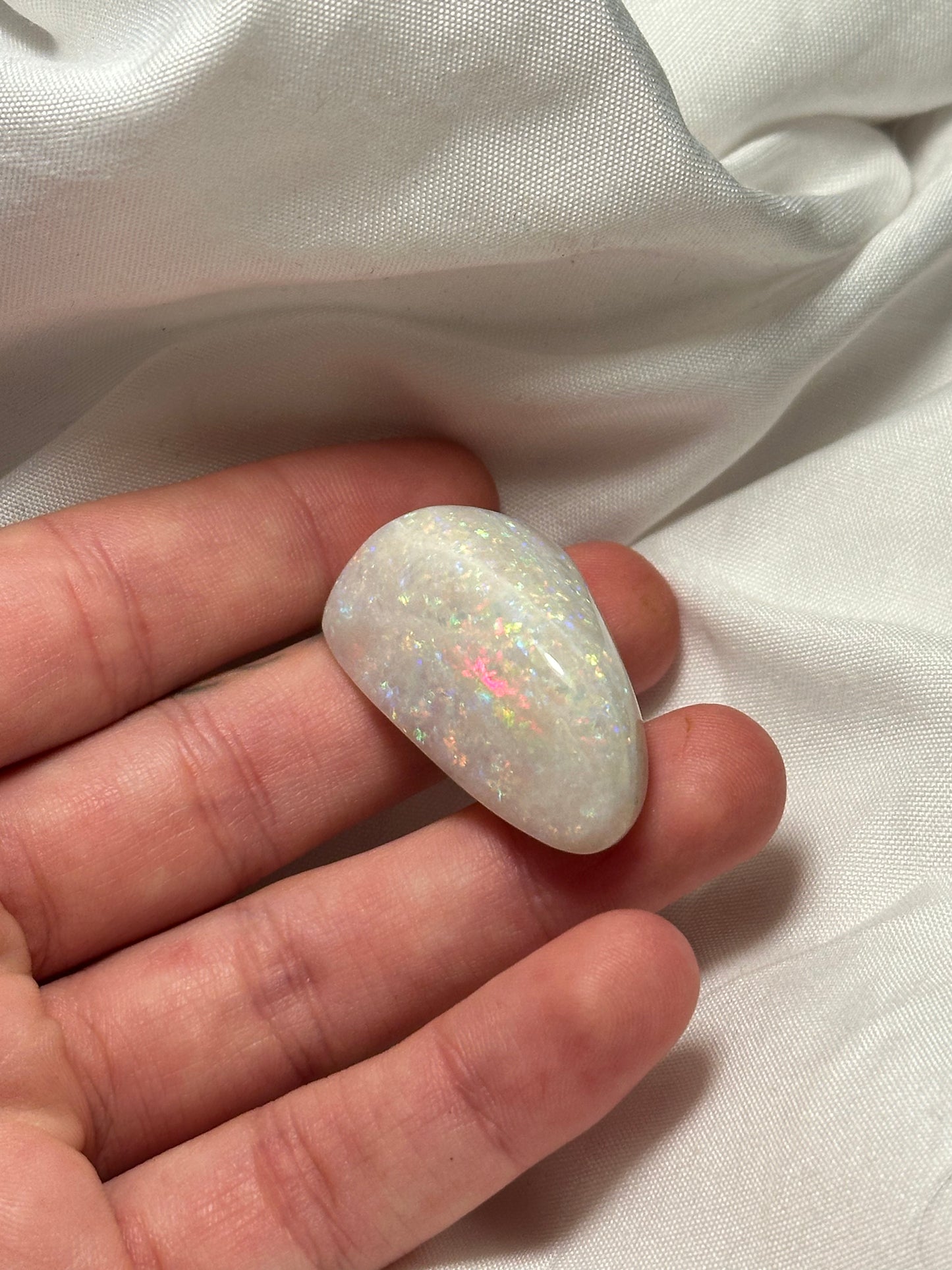 Opalised fossil shell #7
