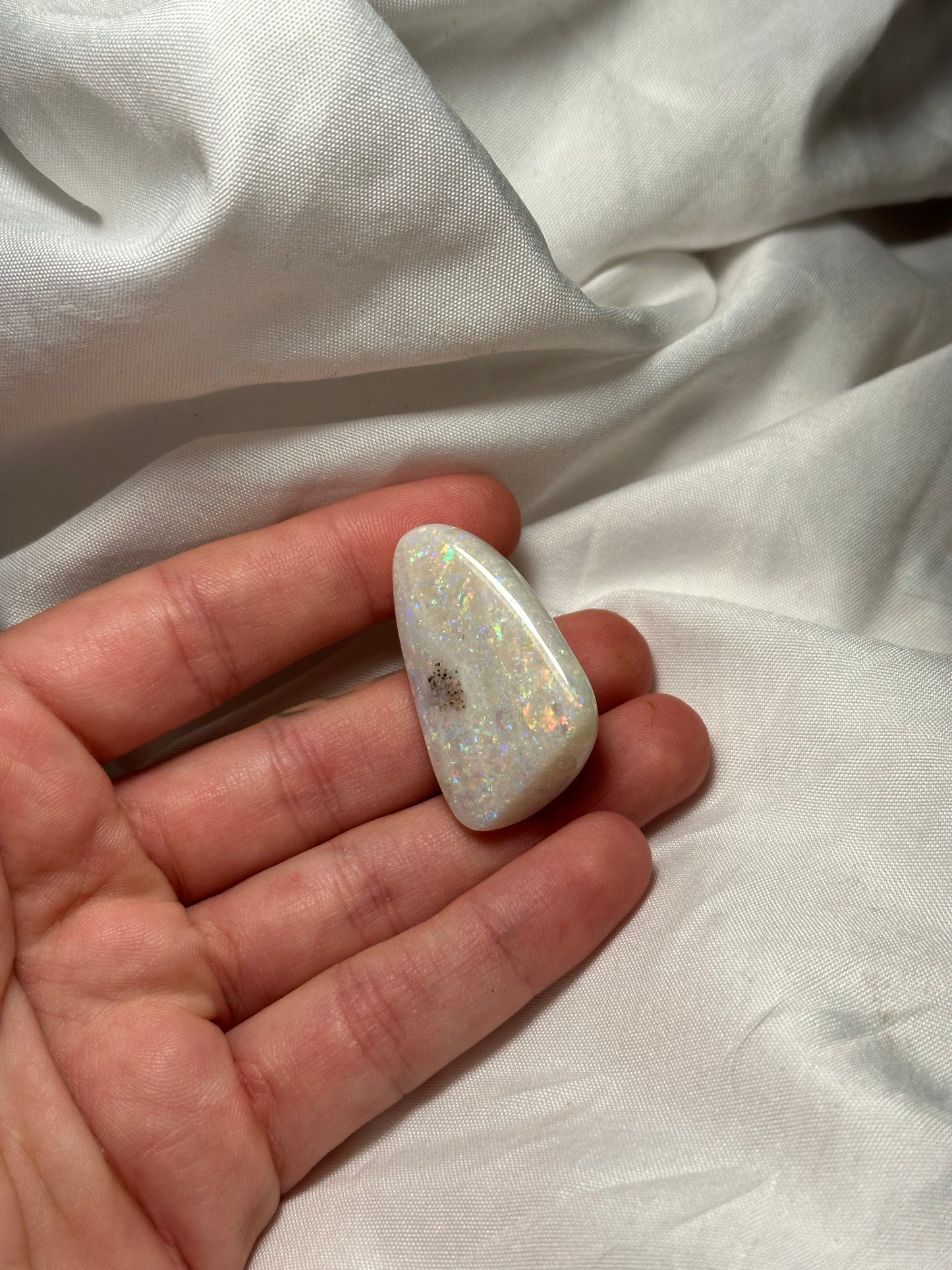 Opalised fossil shell #7