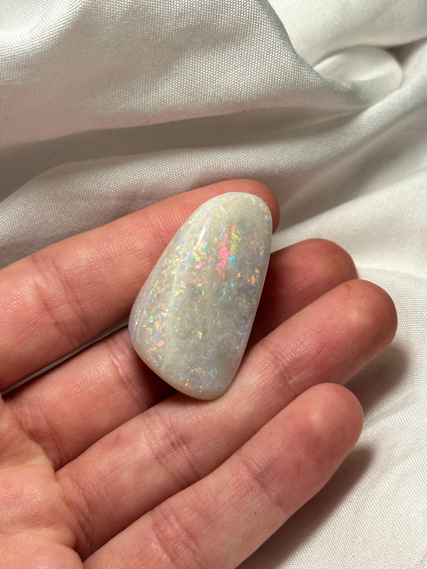Opalised fossil shell #7