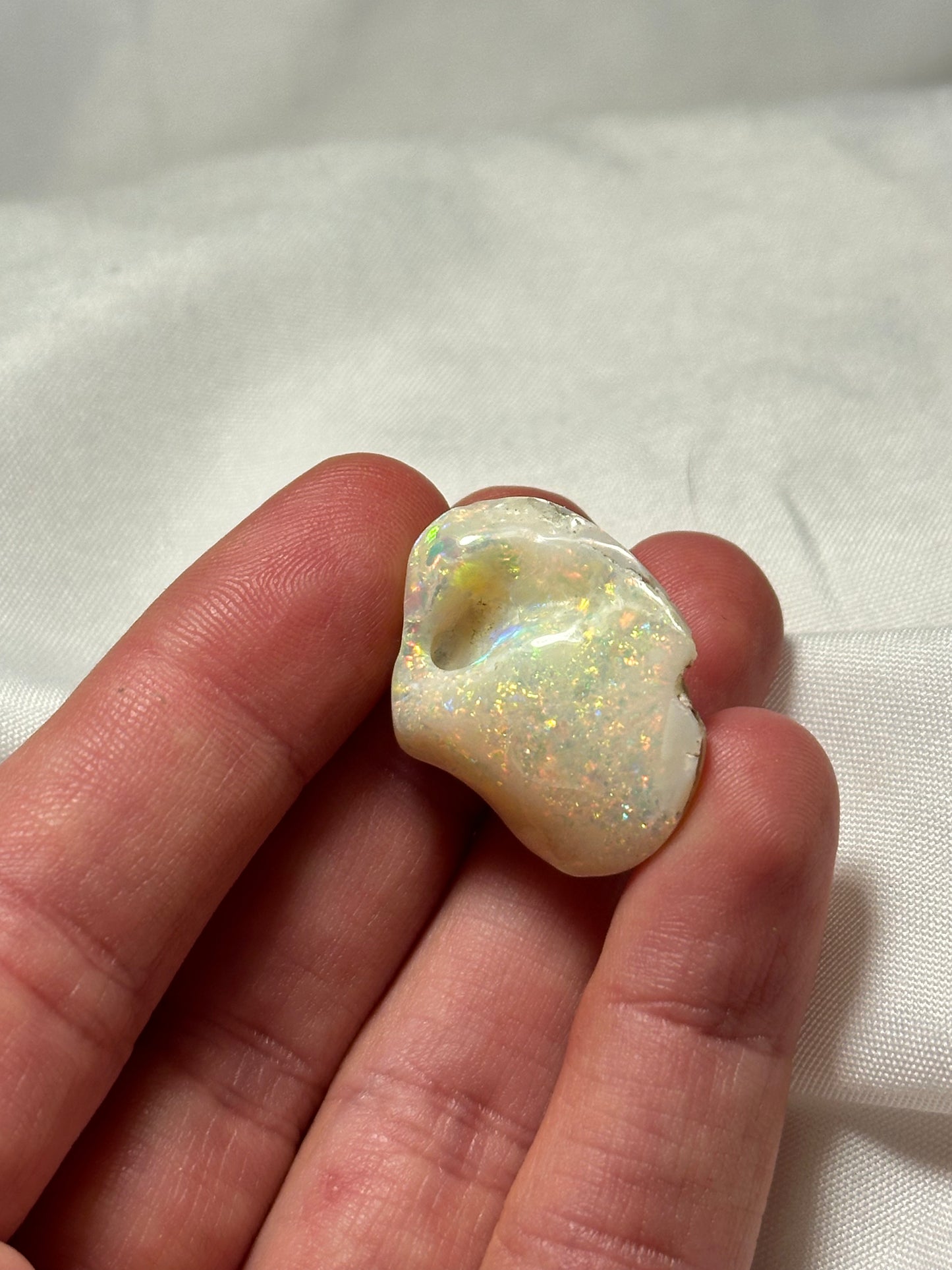 Opalised fossil shell #2