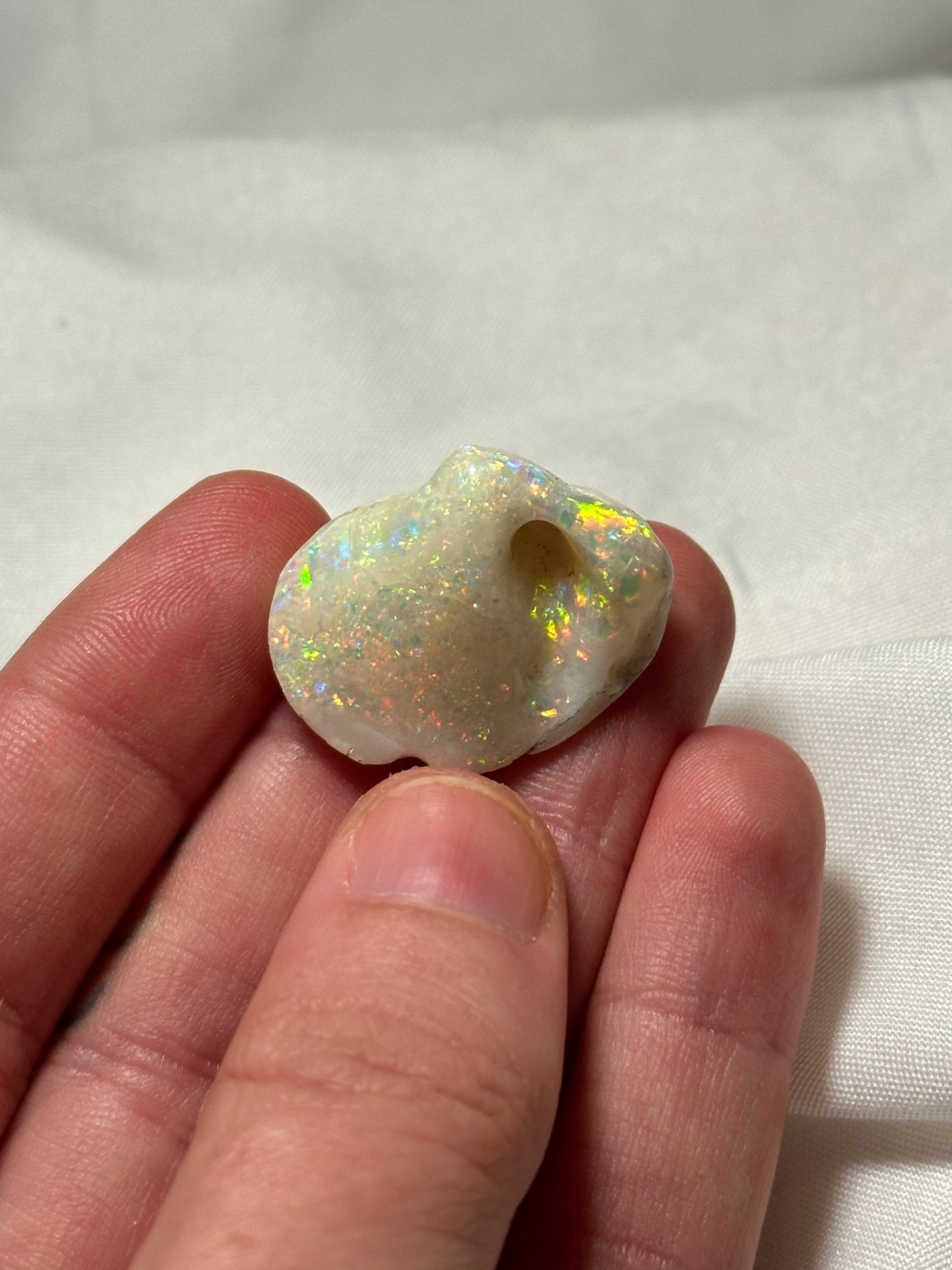 Opalised fossil shell #2