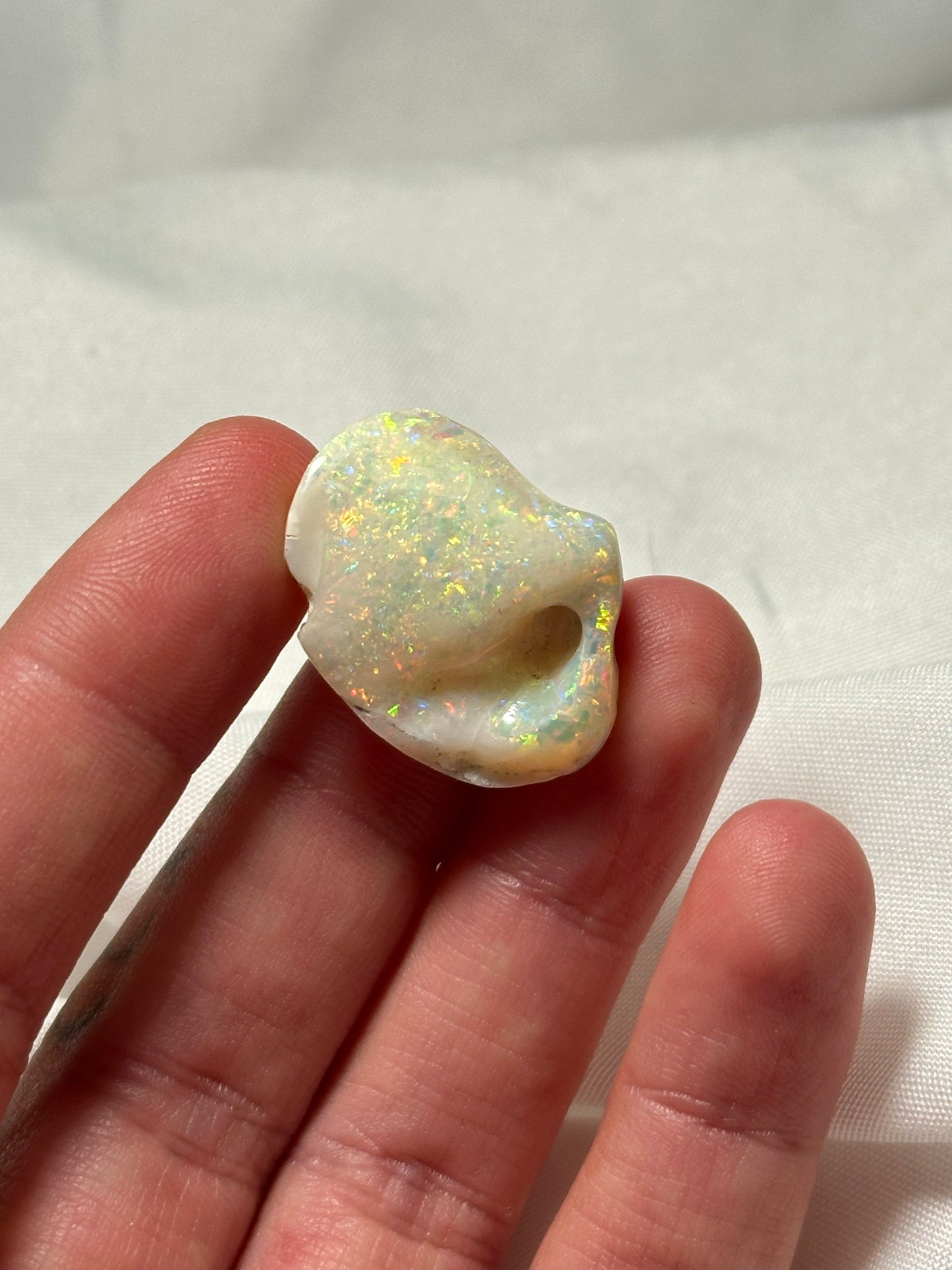 Opalised fossil shell #2