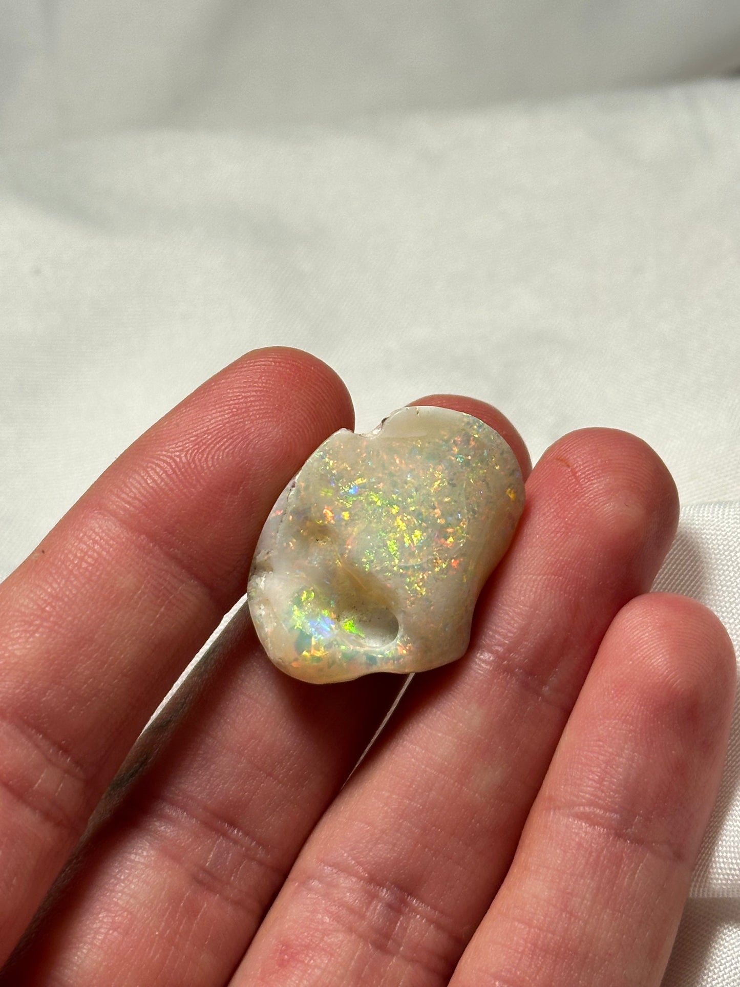 Opalised fossil shell #2