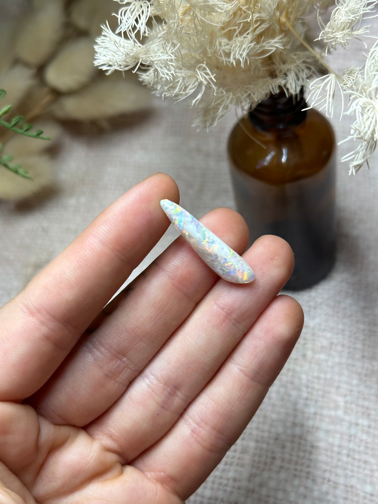 Opalised Belemnite #3