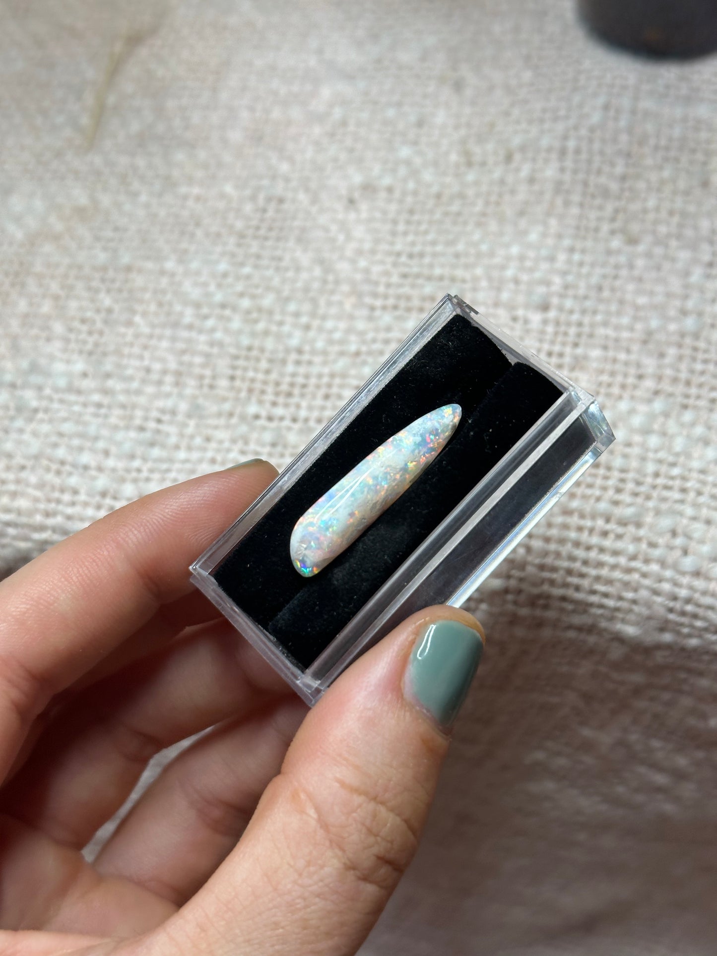 Opalised Belemnite #3