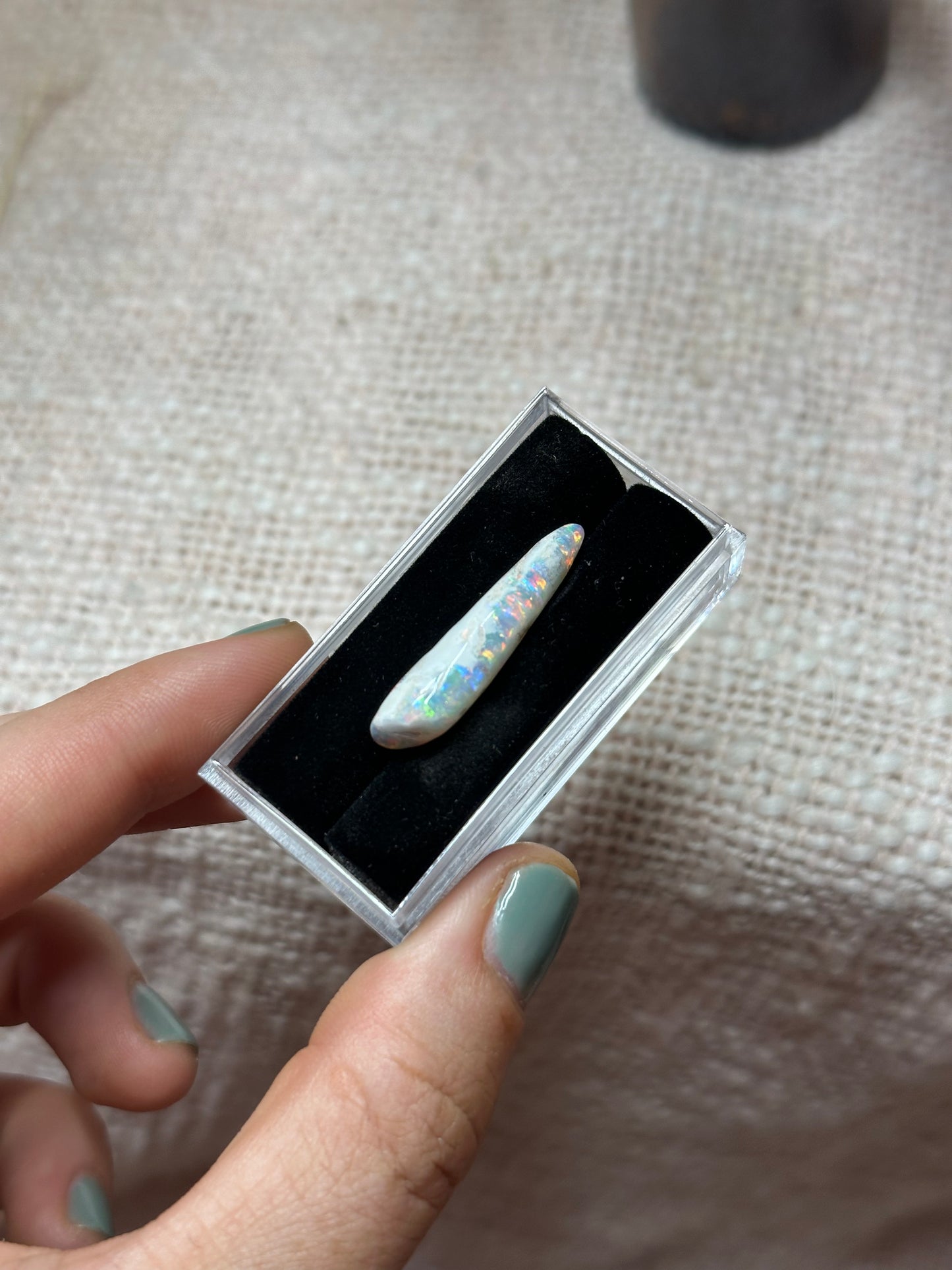 Opalised Belemnite #3