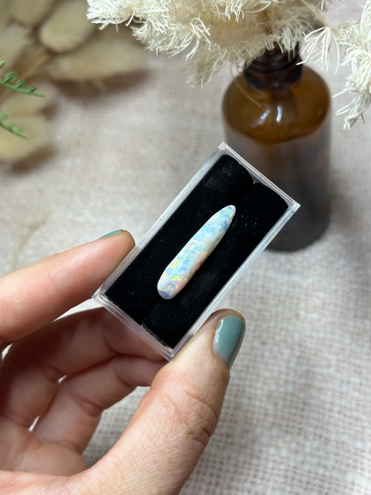 Opalised Belemnite #3