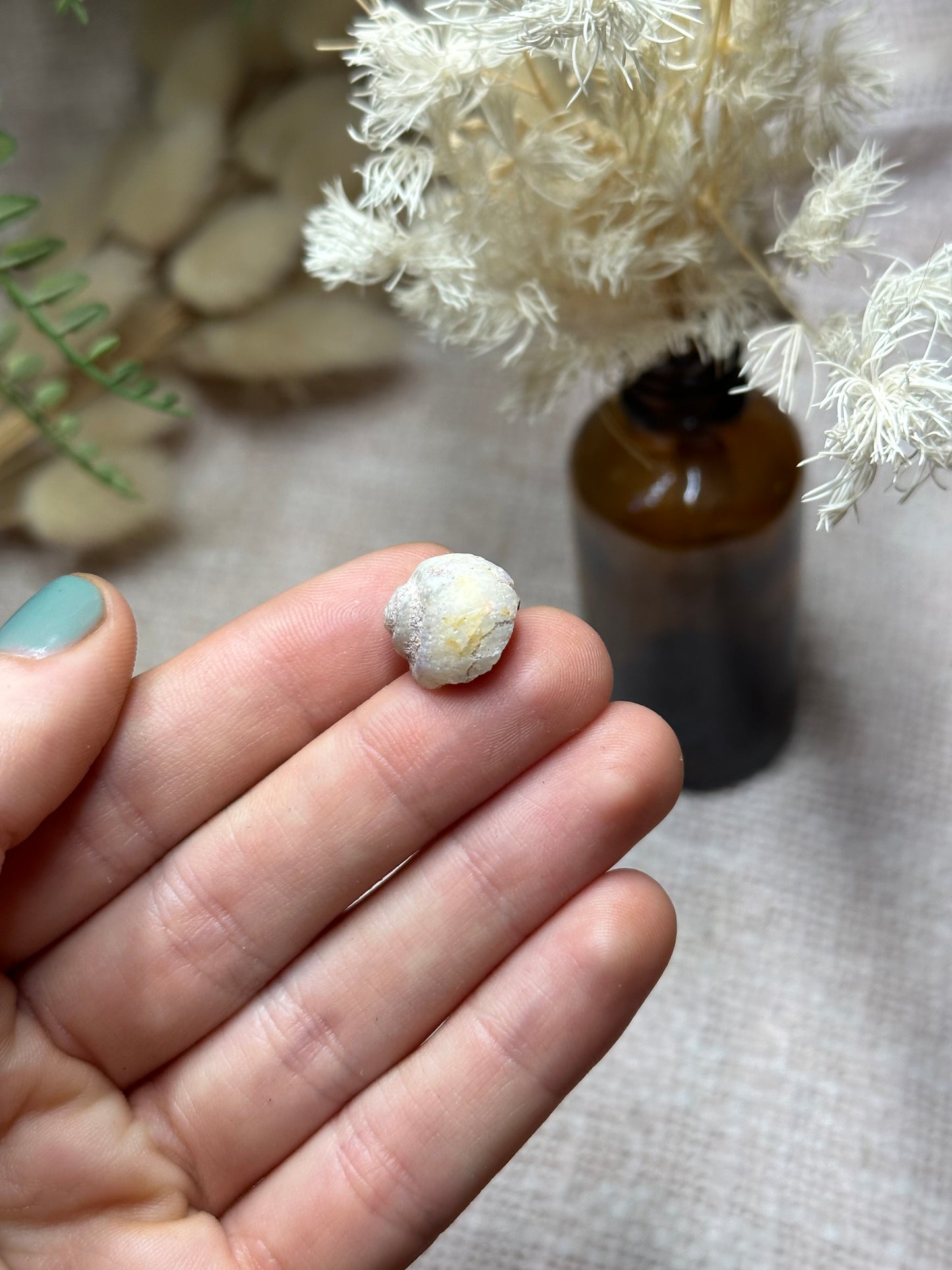 Opalised fossil shell .5