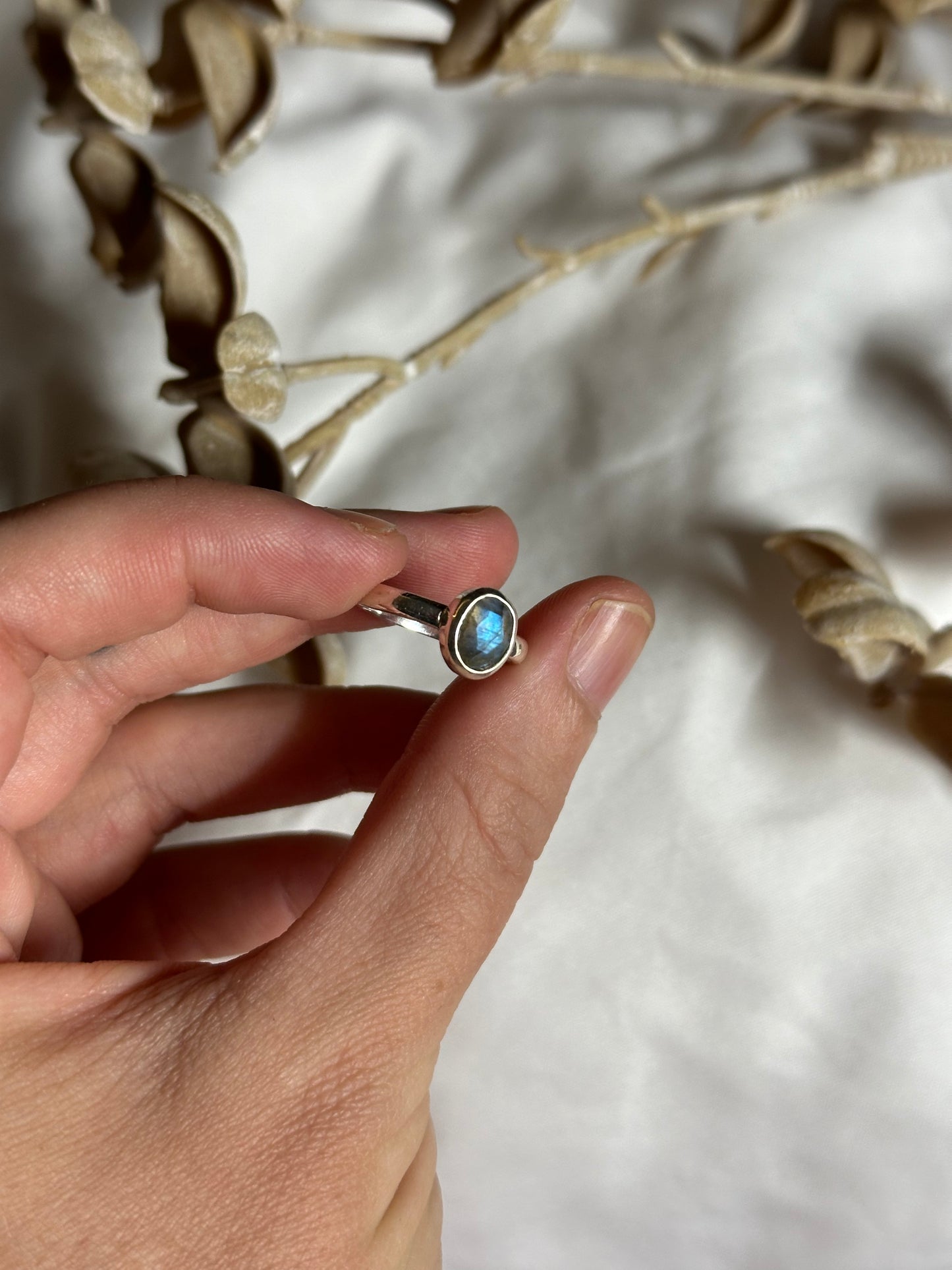 Labradorite - size 5 | #1