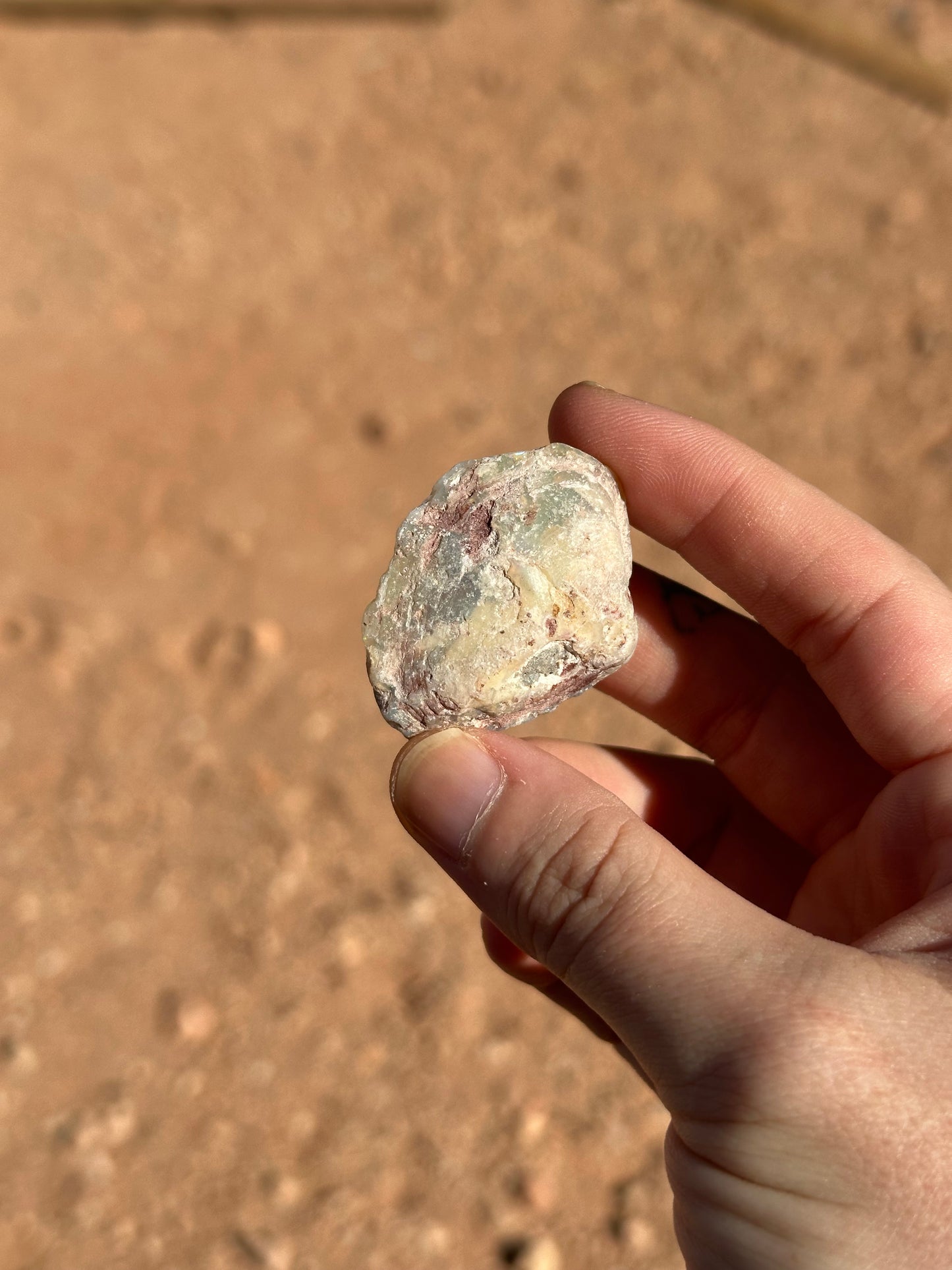 Opalised fossil shell #14