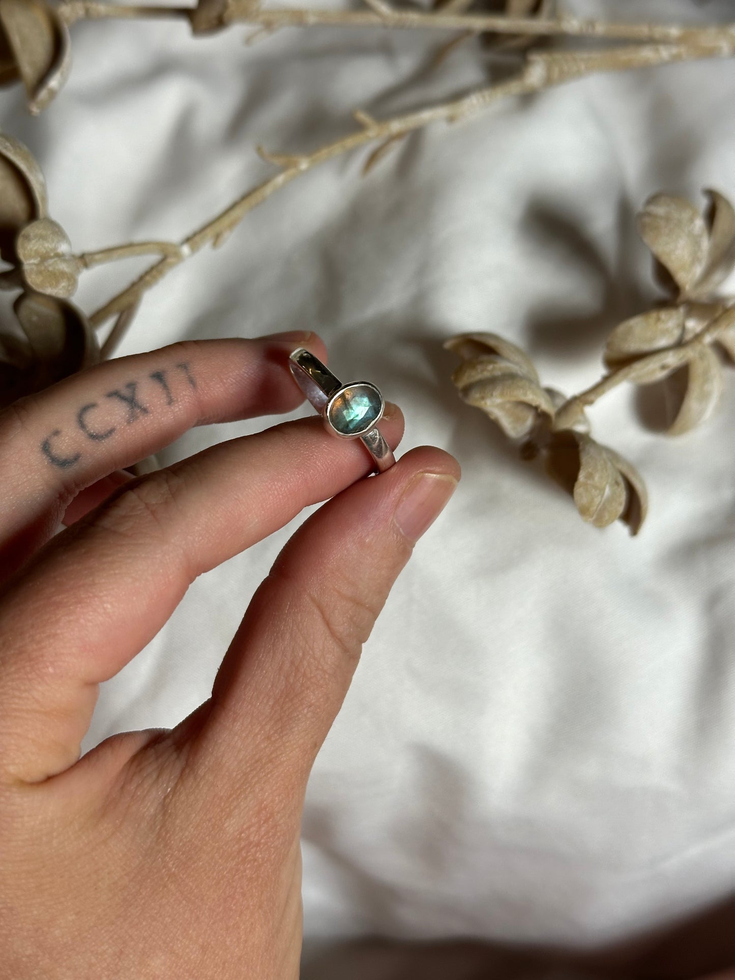 Labradorite - size 10 | #1