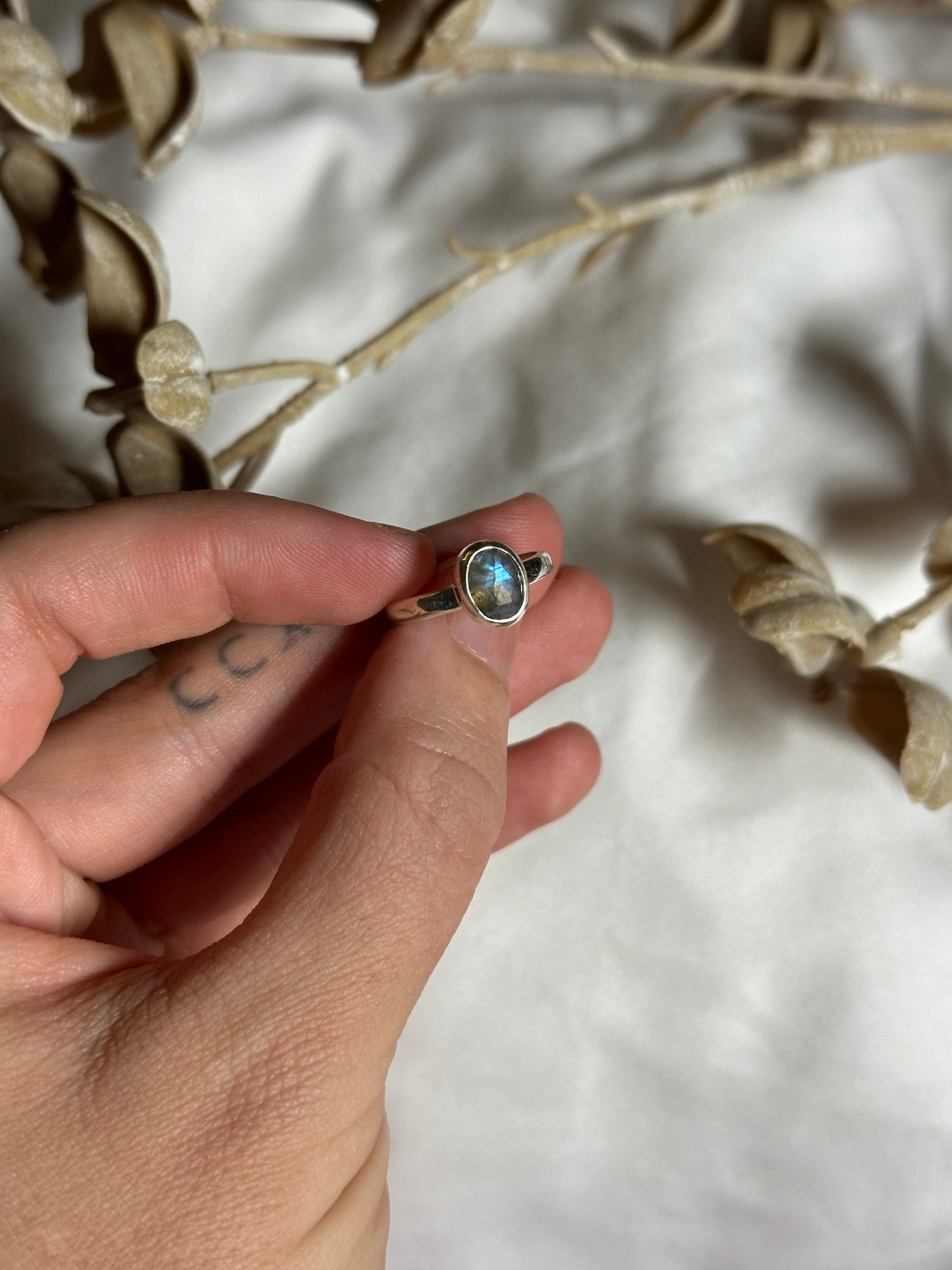 Labradorite - size 5 | #1