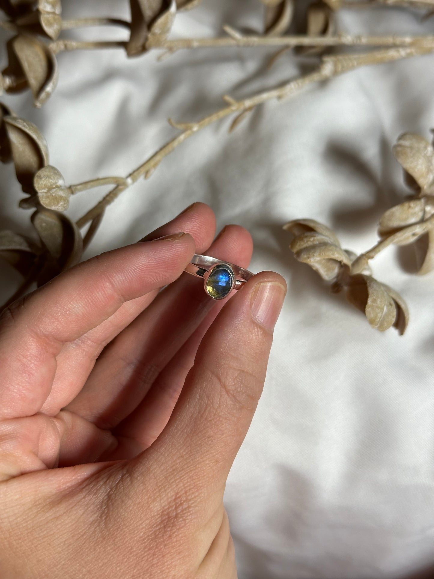 Labradorite - size 9 | #1