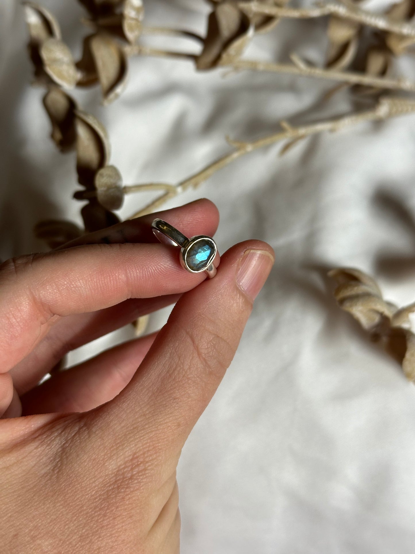 Labradorite - size 6 | #1