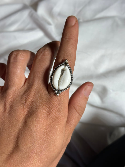Cowrie Shell Ring - Size 7 #2
