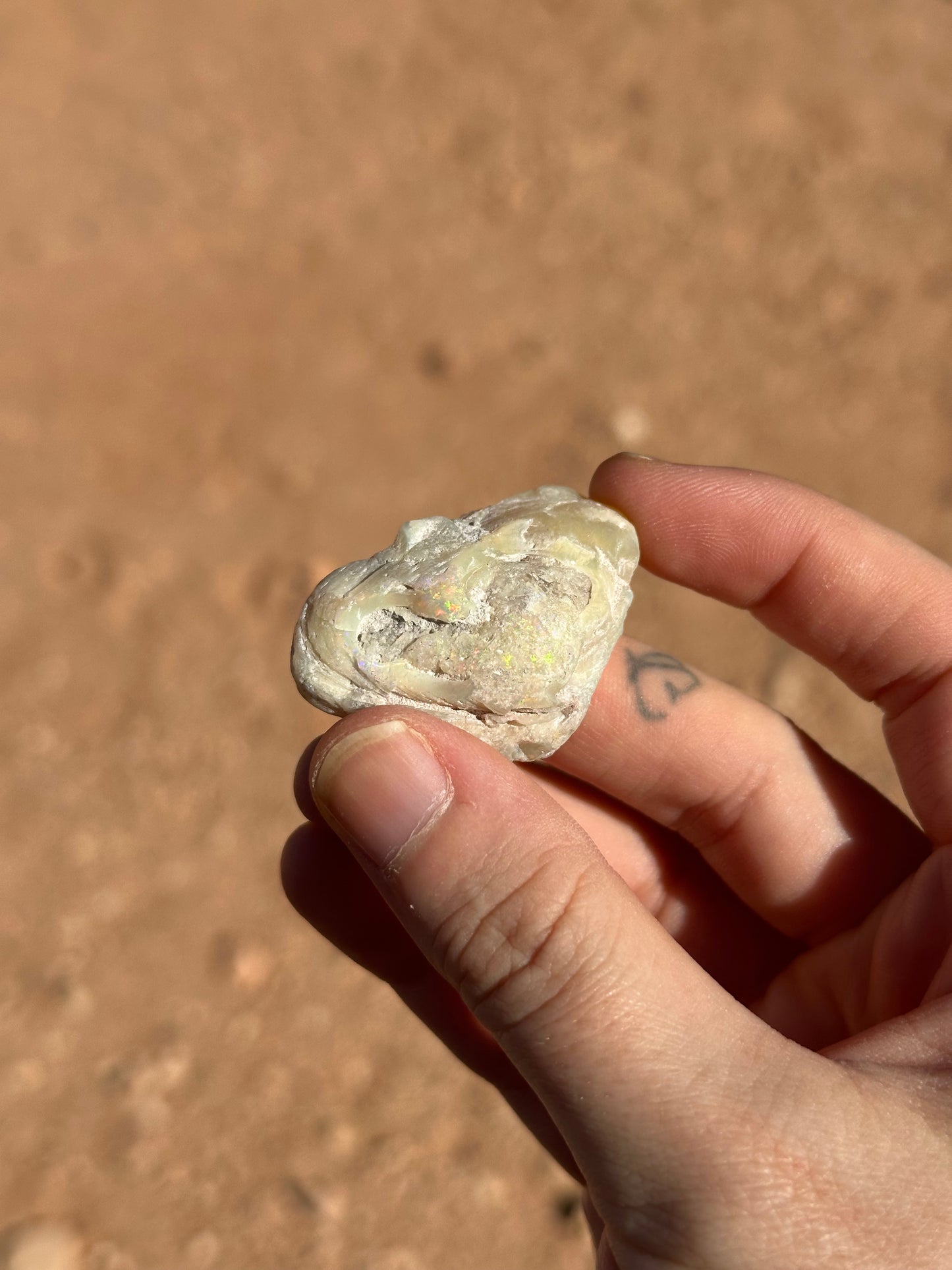 Opalised fossil shell #13