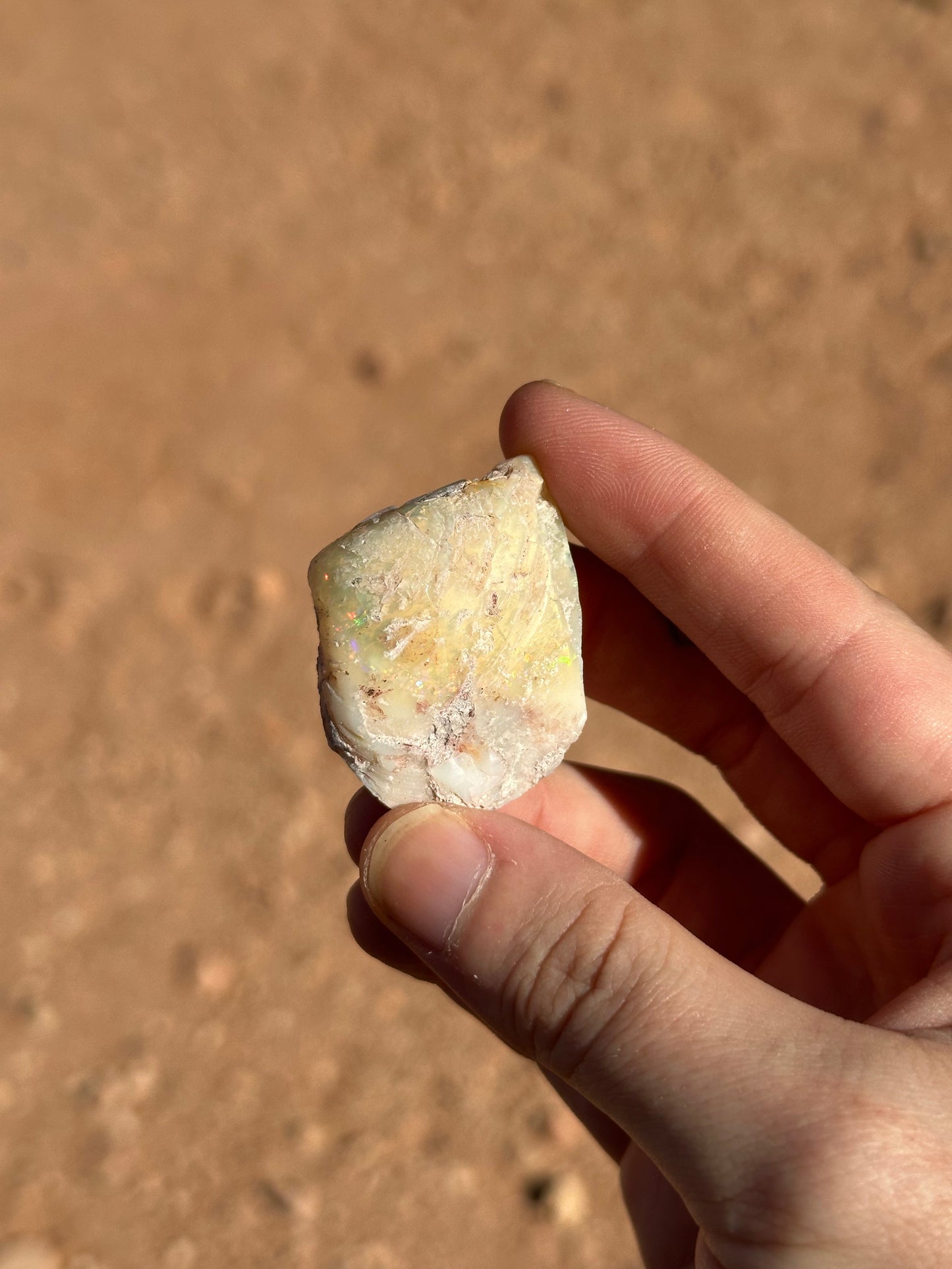 Opalised fossil shell #15